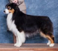 /album/pedigree/goodnight-ladies-happy-trails2-jpg/